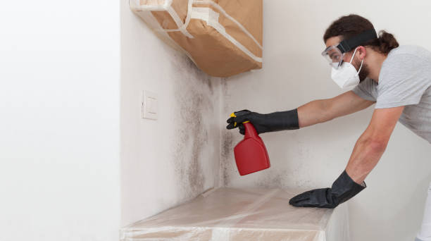Professional Bathroom Mold Removal technician working in Midland, TX