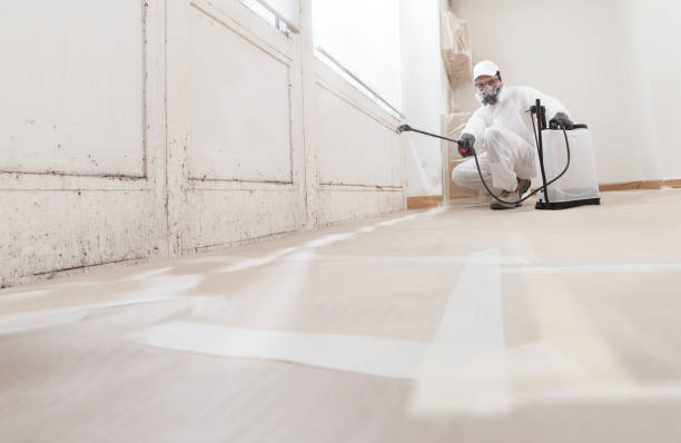 24/7 Emergency Bathroom Mold Removal experts in Midland, TX